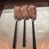セルサルサーレ - 
