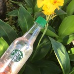 セブンイレブン - 