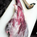山の仙人 淳  - 生の鹿肉解体前