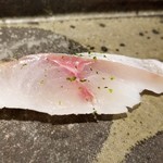 馳走 啐啄一十  - (16)瀬付き真鯵(愛媛県産・3日寝かせ)
      産卵期は春～夏、旬は秋～冬。
      旬とは脂のりは異なりアッサリ系になりますが、瀬付きなので脂のりも良いですが身の味わいが濃いです。