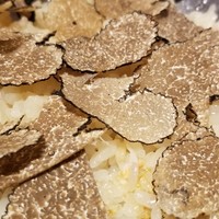 馳走 啐啄一十  - (21)春トリュフ(イタリア産)ご飯(プレーン)、毛蟹(北海道函館産)入り
                春トリュフの控えめながらも艶やかな薫りが立ち昇って来ます。