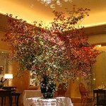 Shin Harada - ぐっと秋らしくなった店内