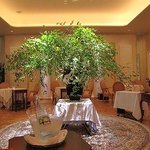 Shin Harada - ゴージャス感はあるものの、決して華美すぎない上品な雰囲気の店内