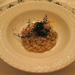 Shin Harada - 赤座海老のリゾット