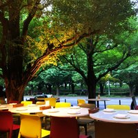 キハチ 青山本店 - 