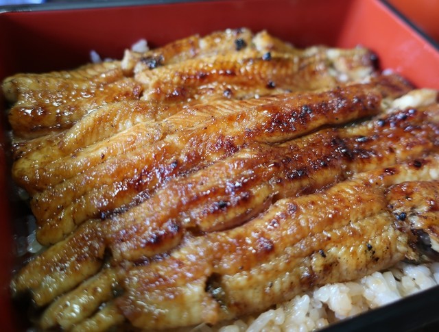 新松 五代目 新松 館山 うなぎ 食べログ