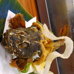 割烹 松風 - カサゴのから揚げ