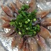 千千香 - 料理写真:ホタルイカ刺身