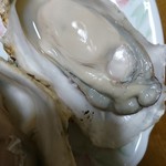 昆布森漁業共同組合 - 