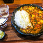 88307266 - この日は「キーマ（鶏）カレー」（中・650円）。