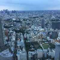 天空の庭　星のなる木 - 