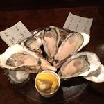 青山 young oyster - 
