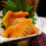 Washoku Shubou Utageya - 赤貝のお造りは激安（\550）～