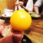 えどぼり 和じ庵 - 2011年6月訪問