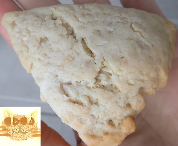 自然派お菓子屋 ボタニズム（自然派お菓子屋 Botanism） - 茂吉記念館前（オーガニック）の写真