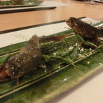 御料理 まつ山 - あゆ塩焼き