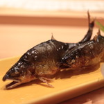 鮨 よし田 - 会田川の鮎塩焼き