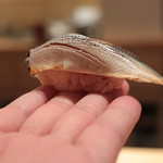 鮨 よし田 - コハダ