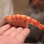 鮨 よし田 - 車海老