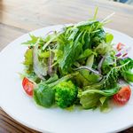 Green salad of seasonal vegetables