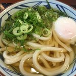 丸亀製麺 - 冷やかけうどん 並 ２９０円
            温泉たまご ７０円