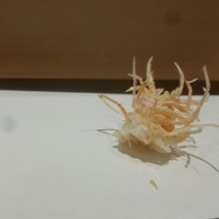 天ぷらnuu nuu - 