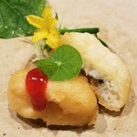 日本料理 TOBIUME - ④地の利～"かっぱの里"
      鱧(福岡県芦屋産)、胡瓜
      骨切りされた鱧のフリットはサクッとた芳ばしい美味しさ
      美しい赤色の梅肉が緑で彩られたお皿の中で存在感を放っています
      芯まで美味しい胡瓜も嬉しい♪