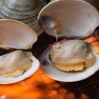 白はまぐり食べ放題満足コース 浜焼太郎 木場店 木場 魚介料理 海鮮料理 食べログ