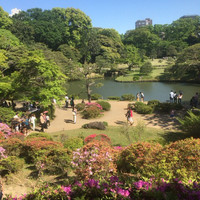 ラ・メゾン・キオイ - 