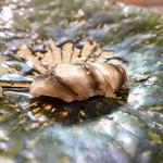 鮨松榮 - 新子 3枚付