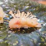 鮨松榮 - 甘鯛 昆布〆