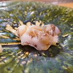 鮨松榮 - 生鳥貝 京都府丹後産