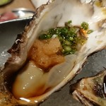 大衆居酒屋 魚菜市庭 プラチナフィッシュ - 