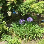 中国精進料理 凛林 - 