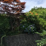 中国精進料理 凛林 - 道中のオタクの庭