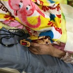 中国精進料理 凛林 - 酸素量もばっちり