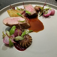 Élan - 