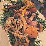 エリゼ光 - 当日のキノコ類！