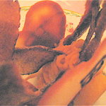 エリゼ光 - 馬車にはモンブランが！