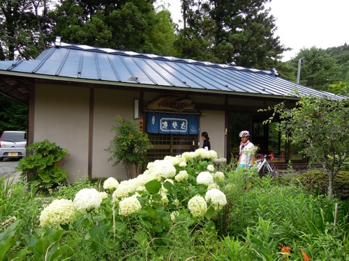 そば茶屋てんえい - 泉崎（そば）の写真