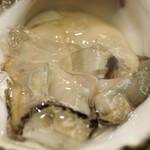 赤坂 詠月 - 生牡蠣
