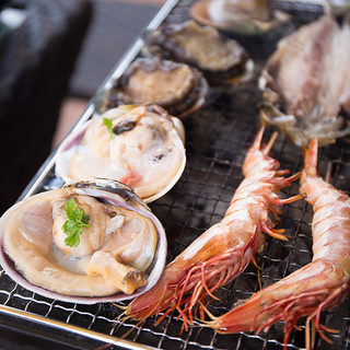 シーアイガ海月_1