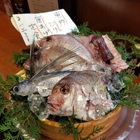 魚めし 竹亭 - 