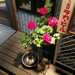 ハシヤ - 花が綺麗