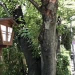 東京 芝 とうふ屋うかい - 