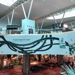 PLAZA PREMIUM LOUNGE MALAYSIA THE BAR - 