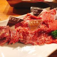 NO MEAT, NO LIFE.2nd - 