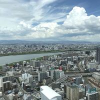 中国料理 燦宮 - 