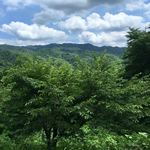 慈久庵 - この風景に和む、、