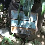 ソバイスバ いさと - 